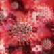 Mehrere Coronaviren schweben in roter Umgebung